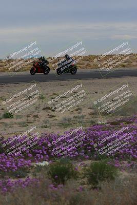 media/Jan-14-2023-SoCal Trackdays (Sat) [[497694156f]]/Turn 14 Exit Bloomig (145pm)/